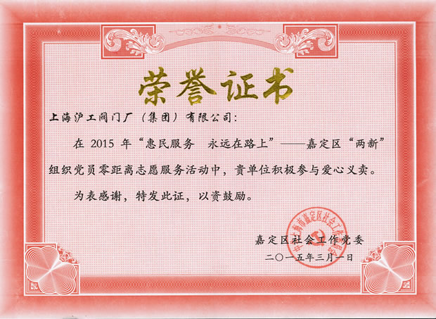 嘉定區社會工作黨委頒發的榮譽證書